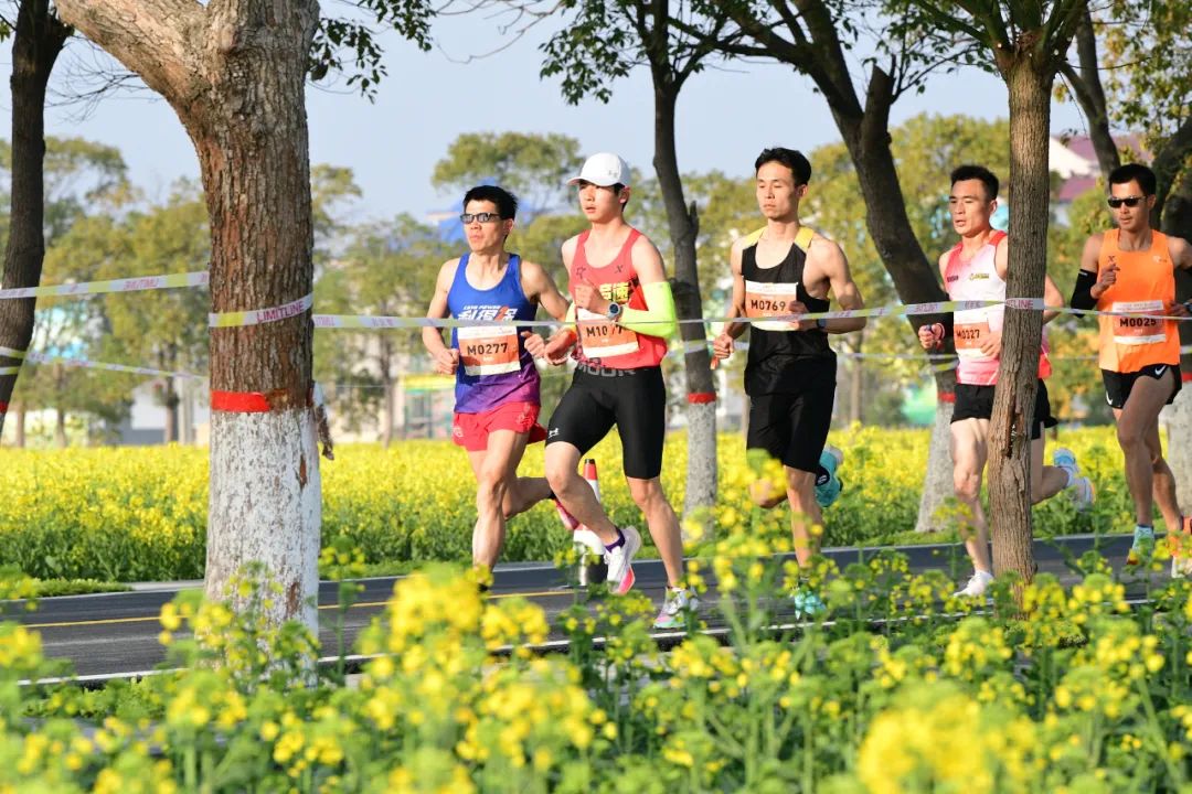 南昌金花户外运动节,南昌市首届金花户外节干嘛的