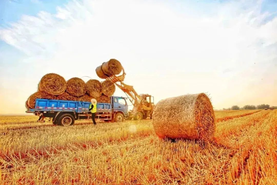 悬念揭晓在即,悬念揭晓视频