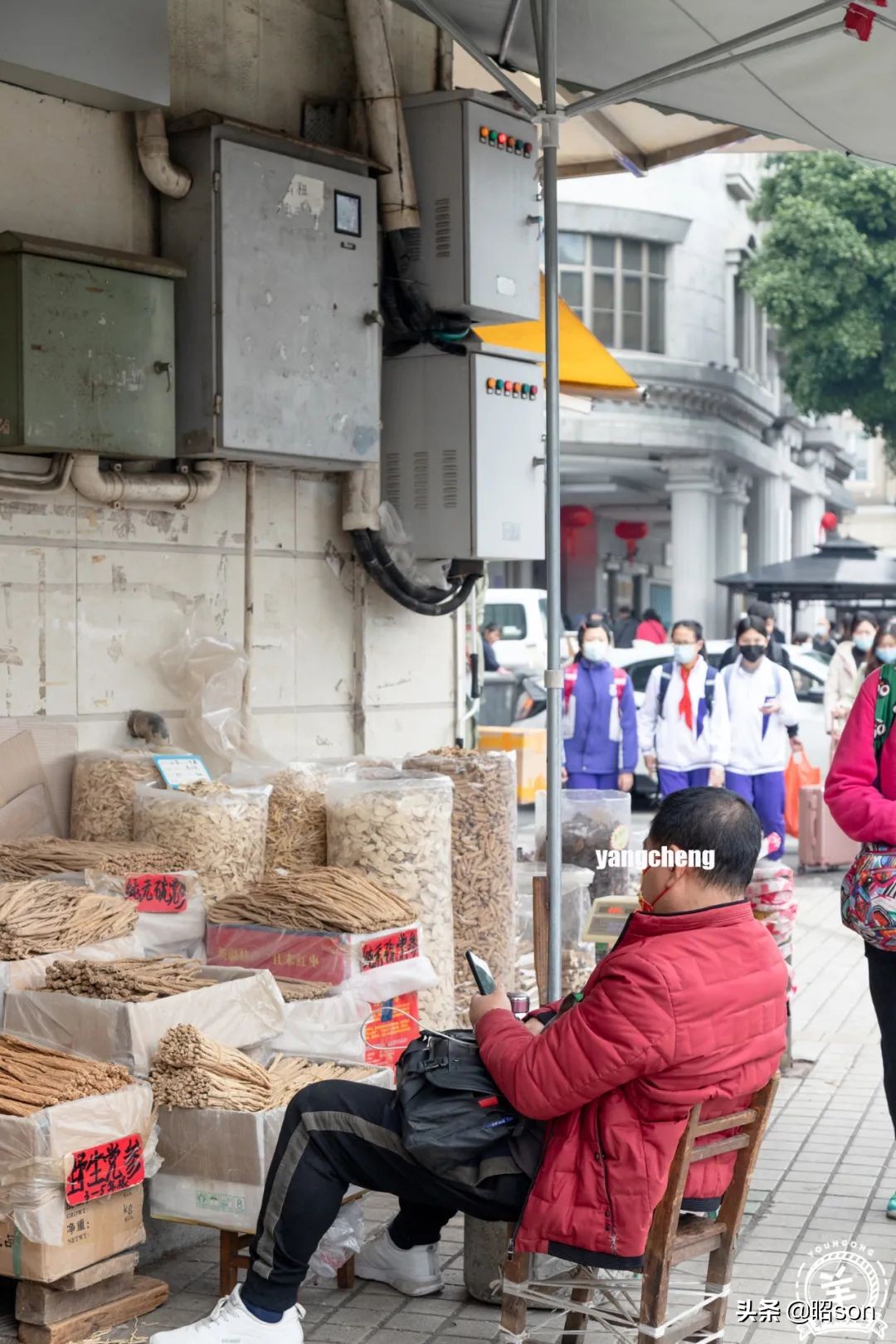 广州清平市场哪家好,清平市场攻略