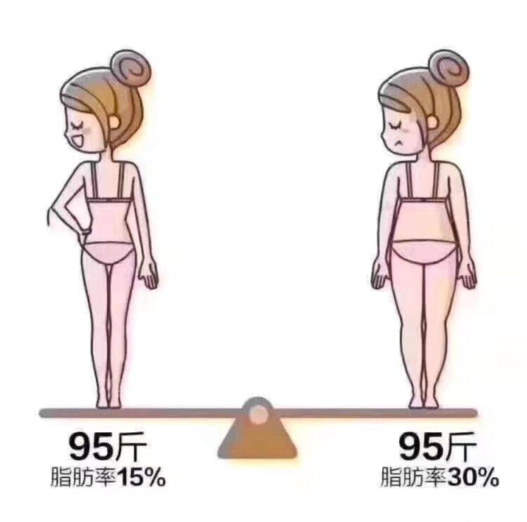 科学减肥课冯雪,如何真正靠谱的减肥