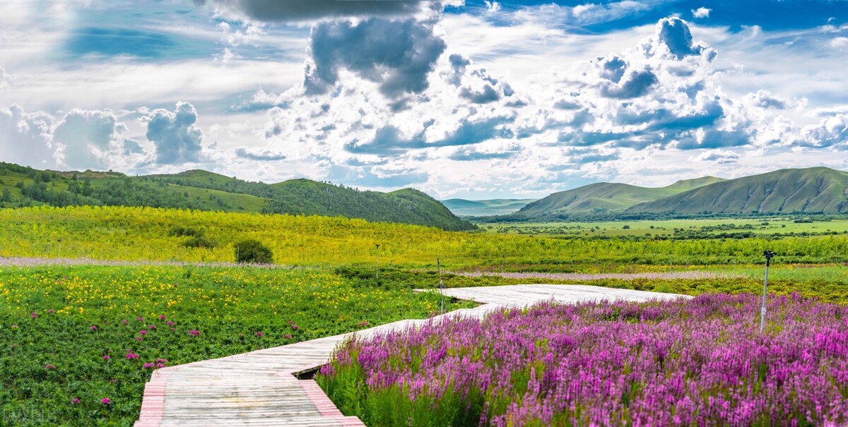 前列腺炎补脾益气清热化湿,脾胃虚弱湿热下注慢性前列腺炎