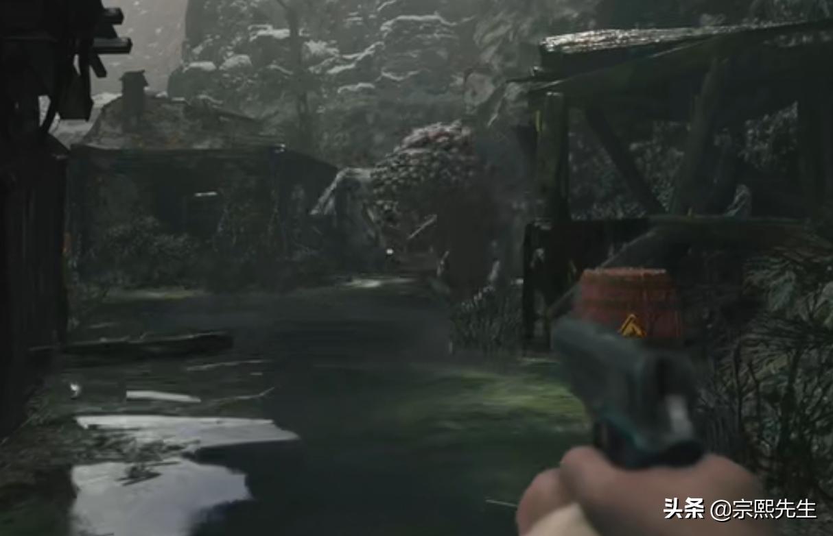 鲤鱼ace解说生化危机8村庄,生化危机8最高难度村庄诡影速通