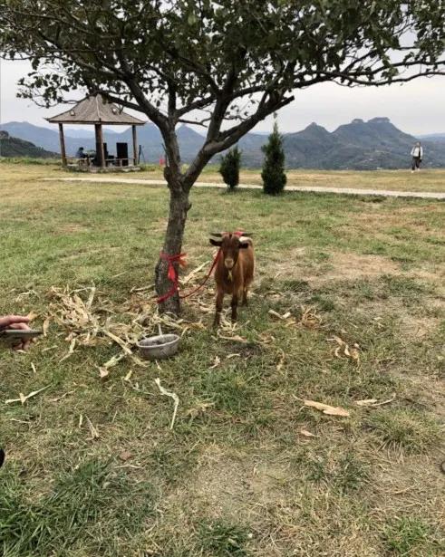 沂蒙七十二崮分布图,沂蒙山区七十二崮属于什么地貌