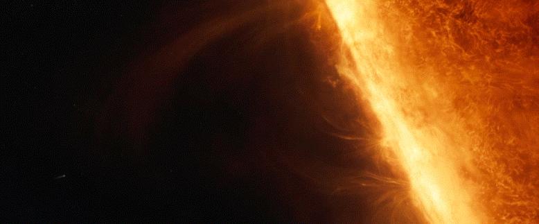 永恒族电影引发巨大争议,永恒族电影评论