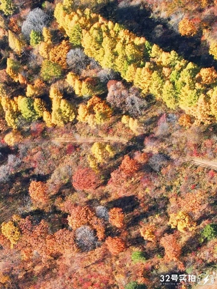 长白山的秋季,长白山夏天和秋天的区别