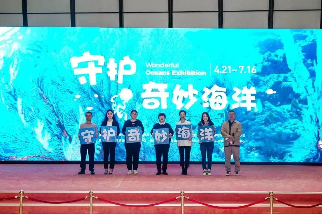 迪士尼落户武汉的可能性,迪士尼落户武汉吗