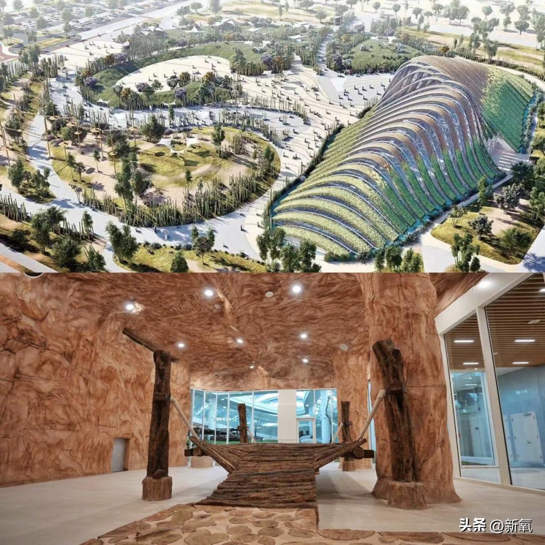 万众瞩目的卡塔尔世界杯正式开幕,卡塔尔世界杯花费3000亿美元