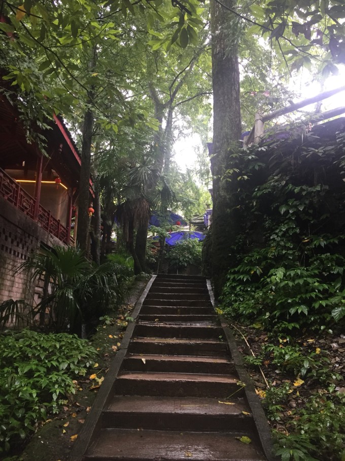 青城后山白云索道上山大概几分钟,青城后山游玩攻略大全