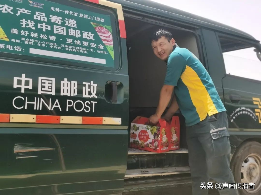 稳就业促增收为乡村振兴添动力,小小吊瓜成群众致富金瓜