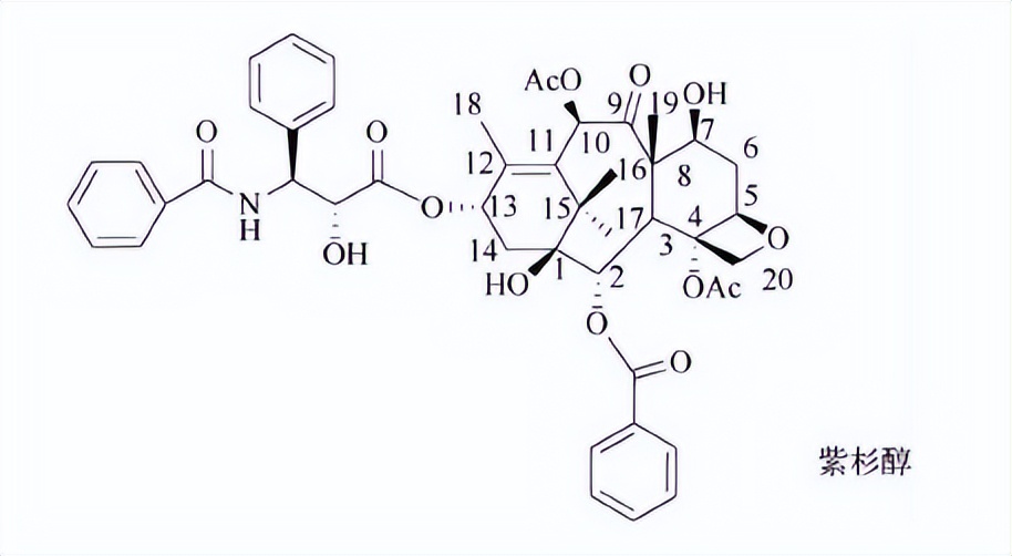 植物活性成分有效成分,药用植物中的萜类物质