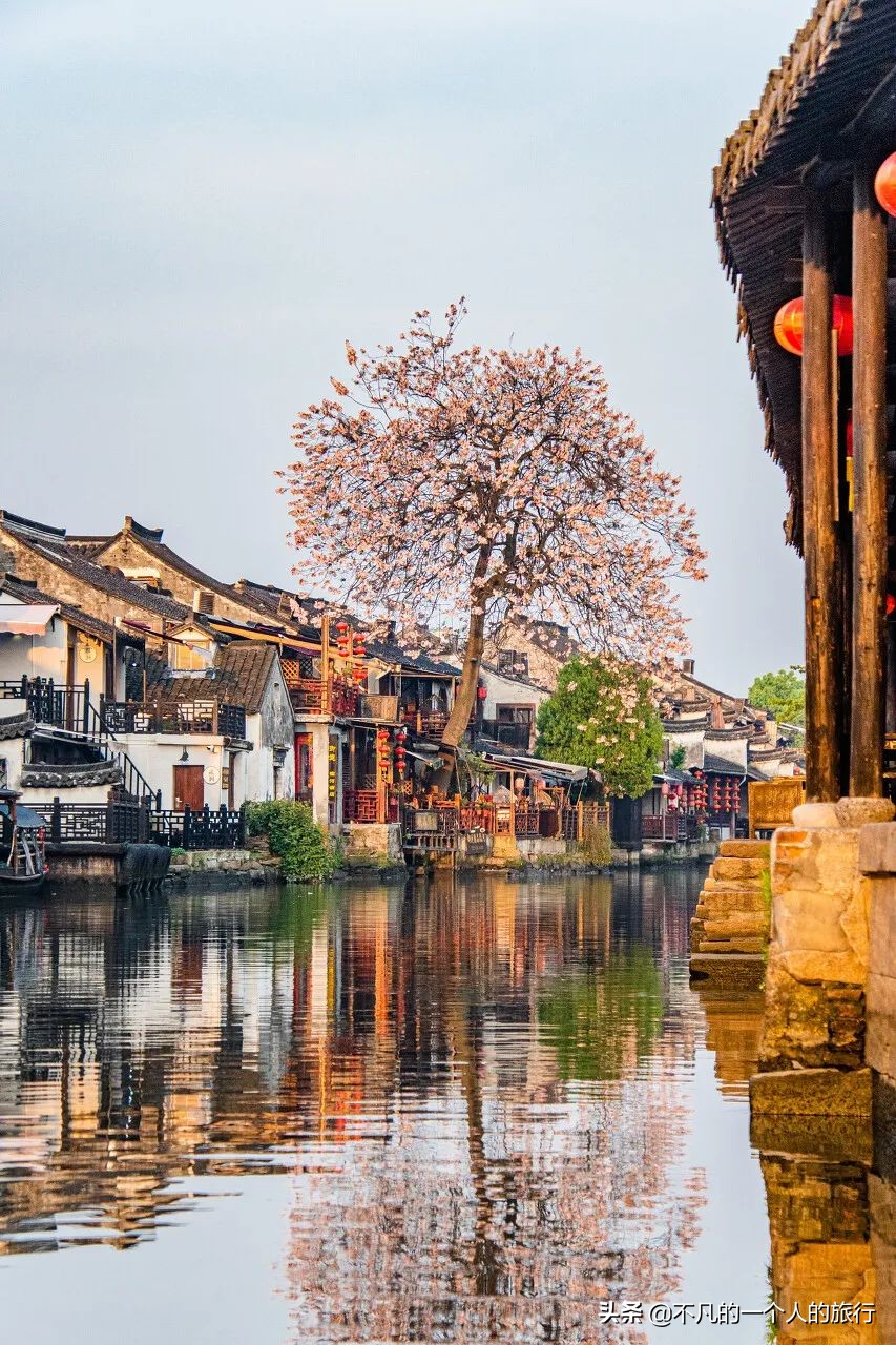 这座佛系安逸的江南老城被赞“全国最美森林火车站”