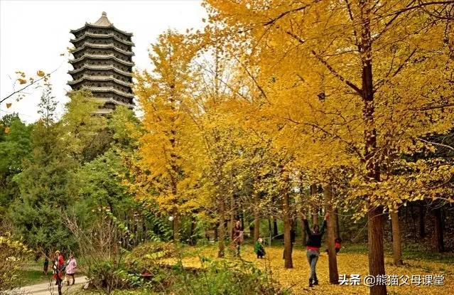 中考英语形容词副词辨析,中考英语易混词和形近词