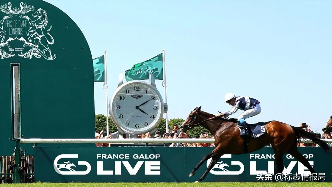 法国马术galop路线,法国马术galop银级