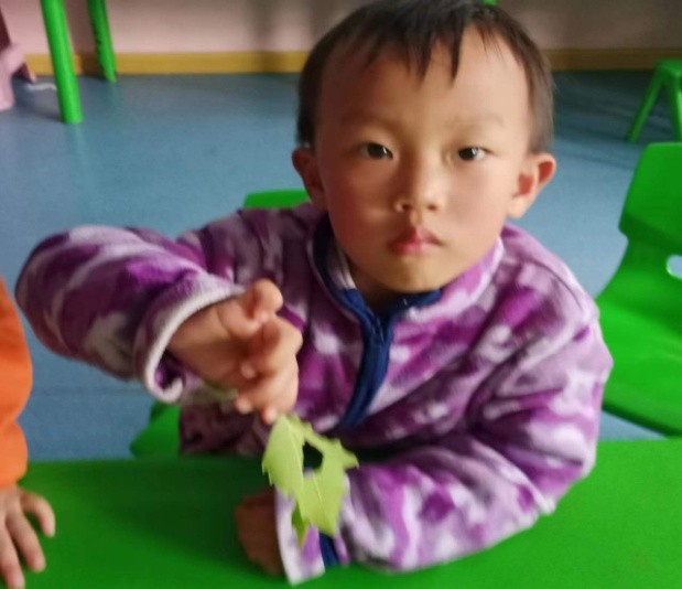 探秘泡泡之旅--道朗镇鱼池幼儿园小班班本课程