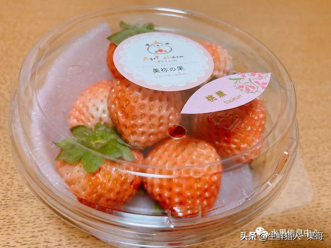 最好吃的白草莓品种前十名,好吃实惠的草莓品种有哪些