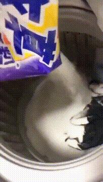 “是小蛇出了轨，还是青蛙劈了腿？”这是现实版的美杜莎？哈哈