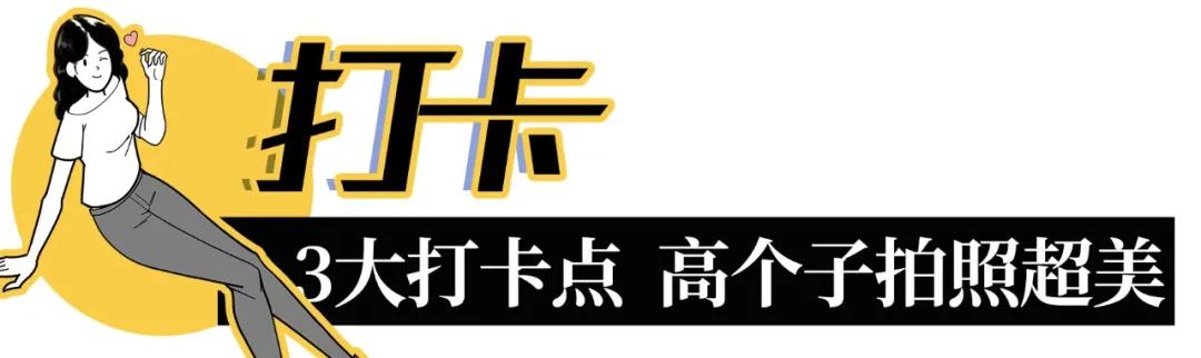深圳免费好玩的滑梯推荐,深圳摩天滑梯