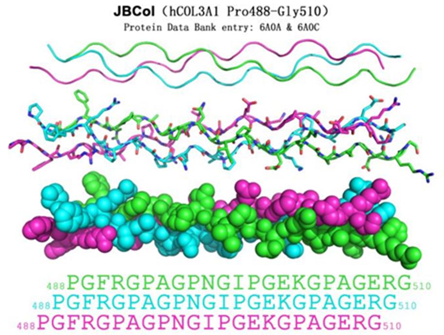 “美人阁-锦一贝抗衰联盟服务中心新闻发布会”即将盛大开启
