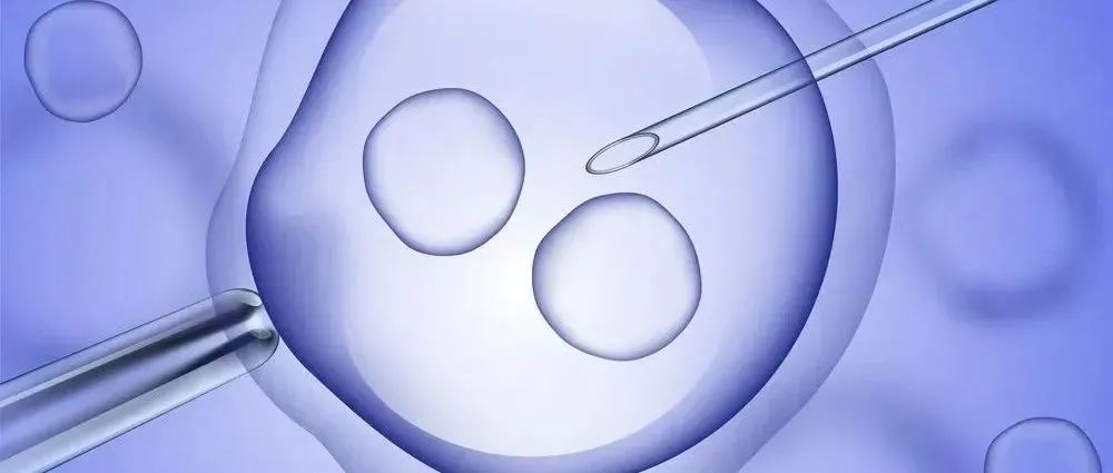 试管雌二醇达到多少pg可以采卵,试管查雌二醇和孕酮需要空腹吗