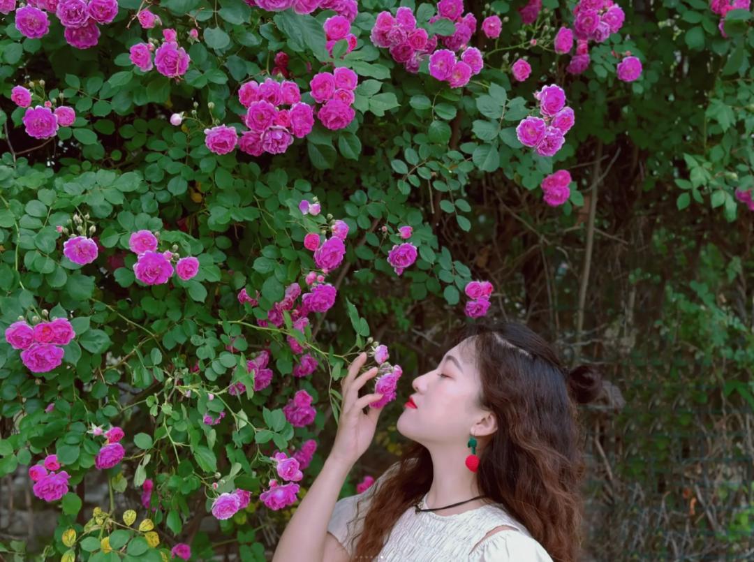 海边城市吃海鲜推荐,海边适合吃海鲜的小众城市