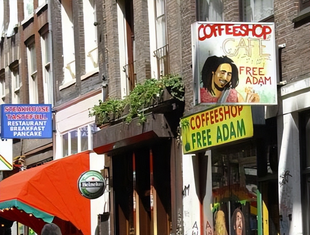 自由的国家荷兰,荷兰旅游有多开放