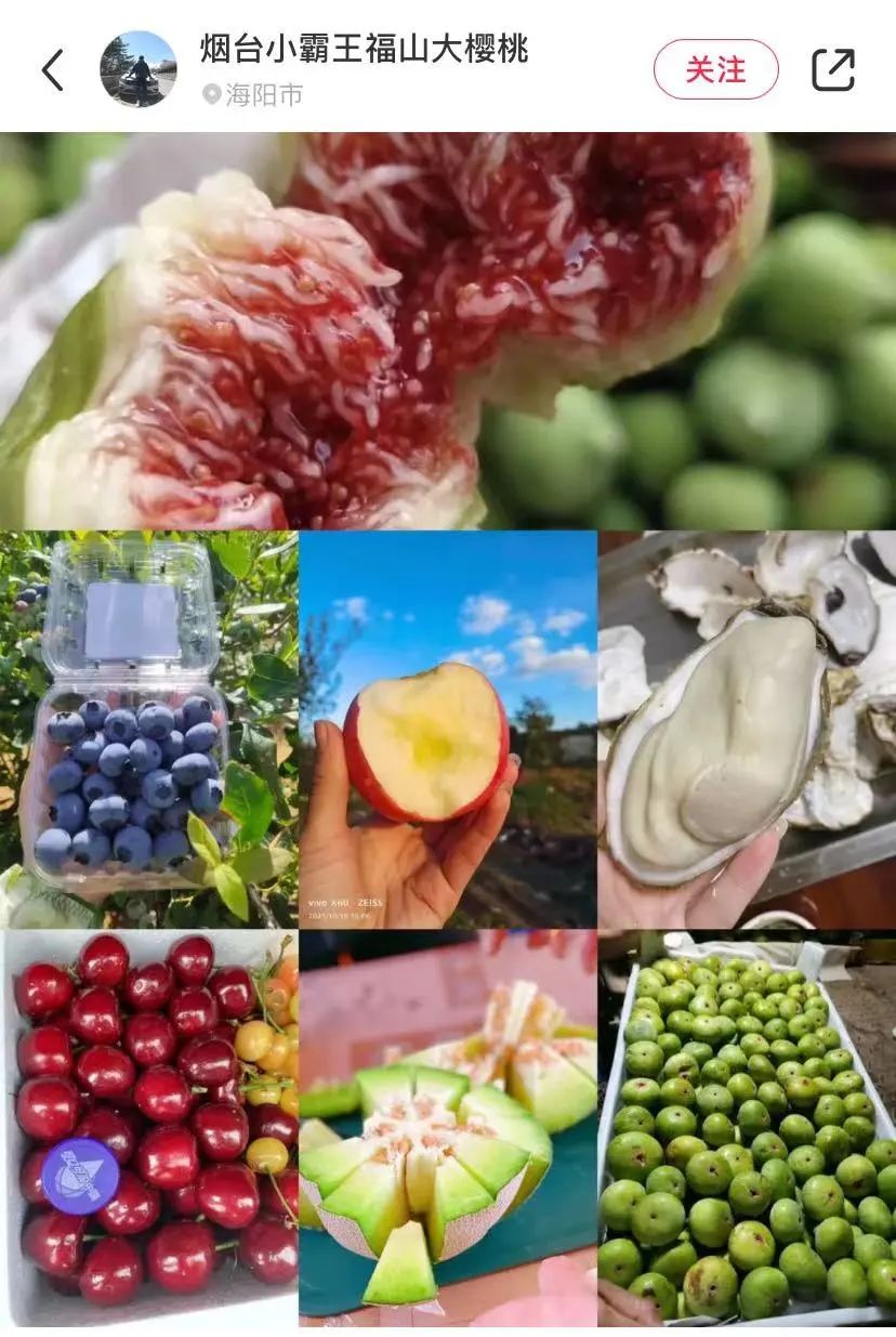 城市里最适合养老的房子,适合养老的花园惬意洋房