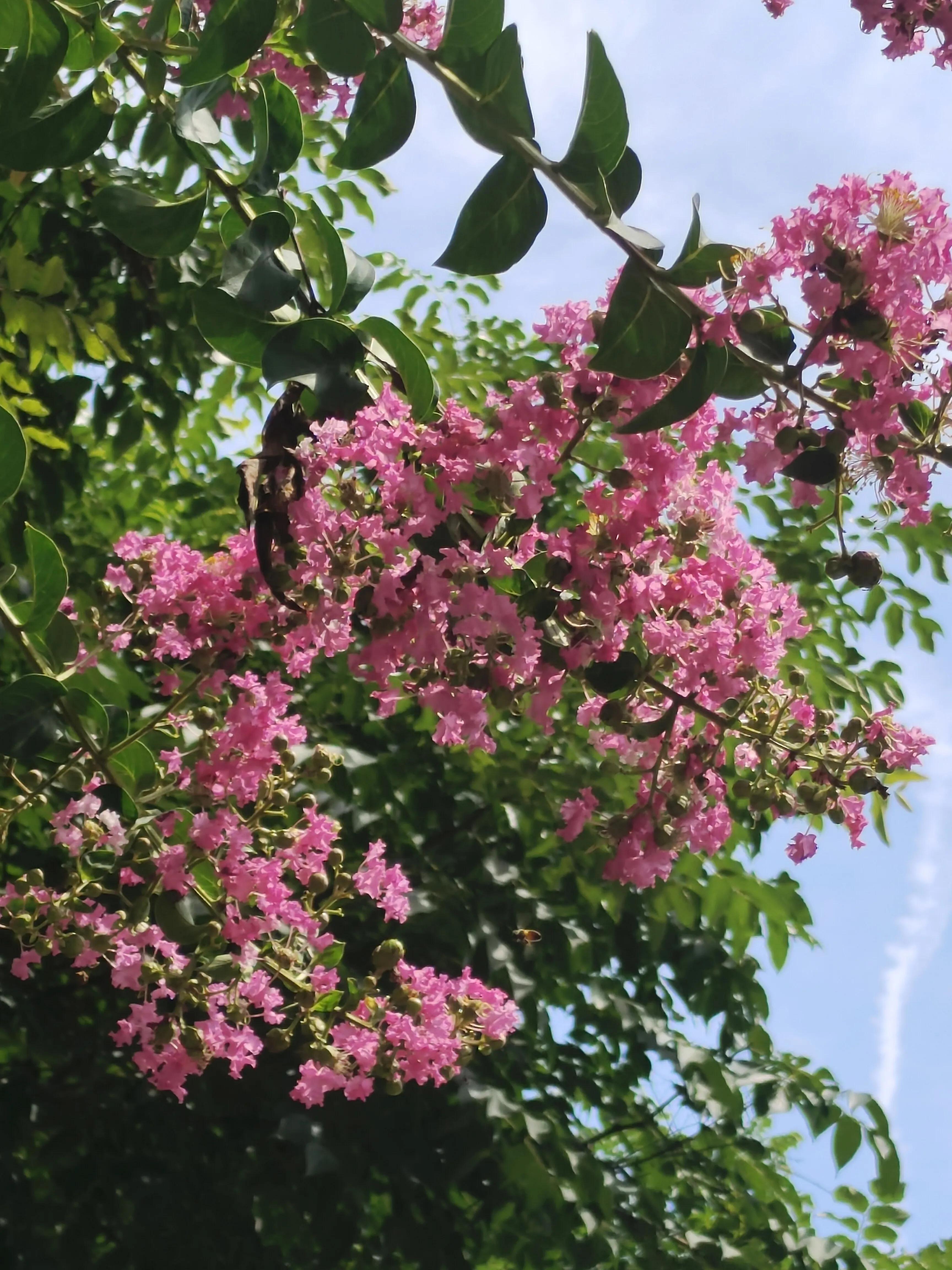 生病了才知道雨伞重要,生病了才知道伞有多重要