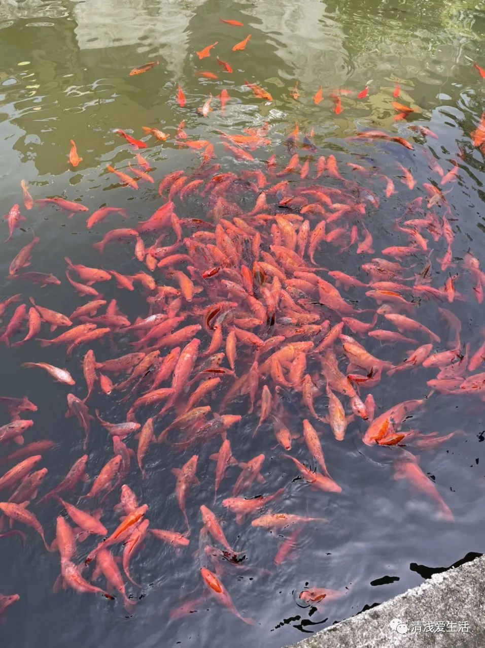 景德镇雕塑瓷厂一条街图片,景德镇雕塑瓷厂集市