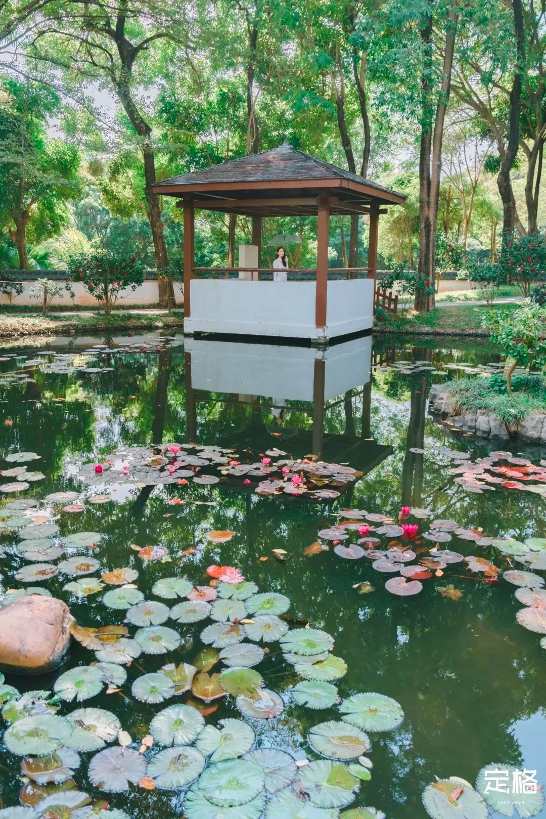 地铁深圳一号线哪里好玩,深圳1号线营业时间