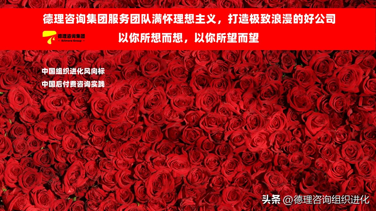 德理咨询集团：企业物流外包的运作、管理与风险控制-krimore