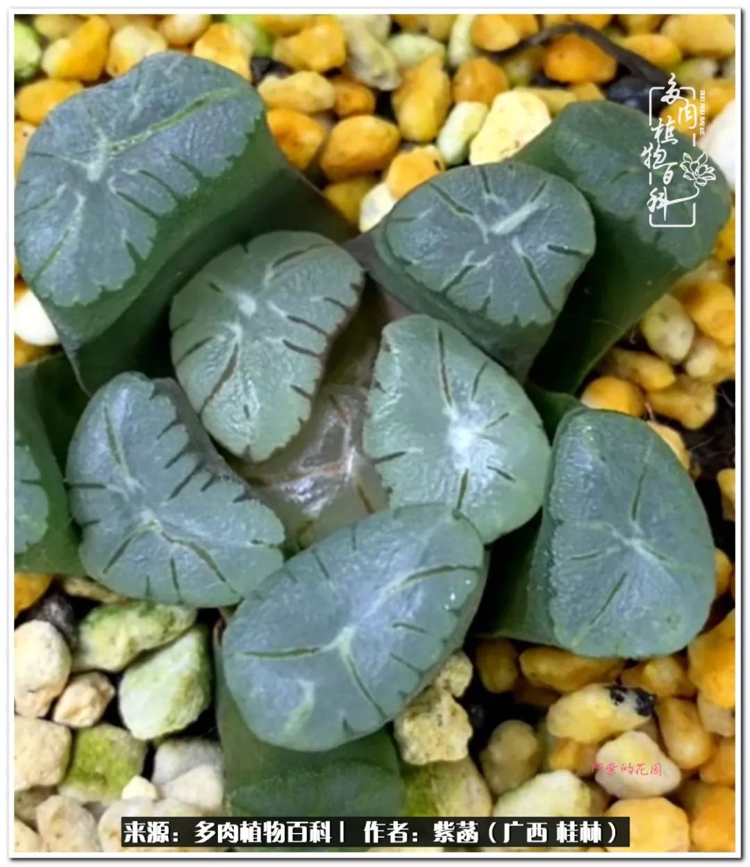 酷暑里的关爱，如十二卷般透亮绵长