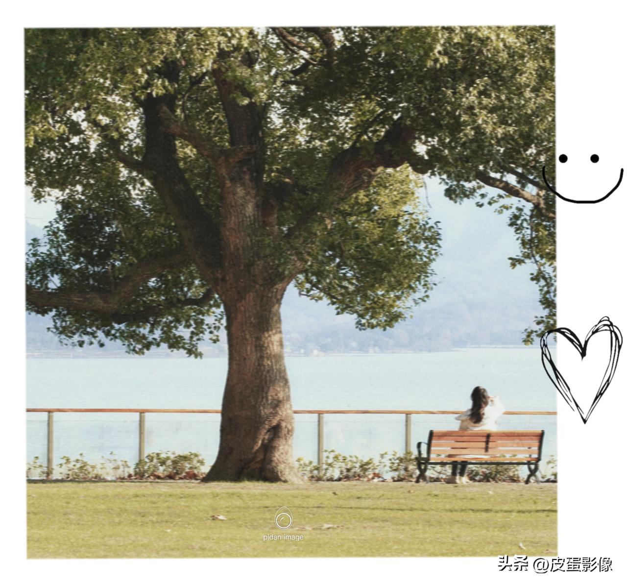 专业摄影师教你怎样才能更清晰,摄影明暗对比照片教学