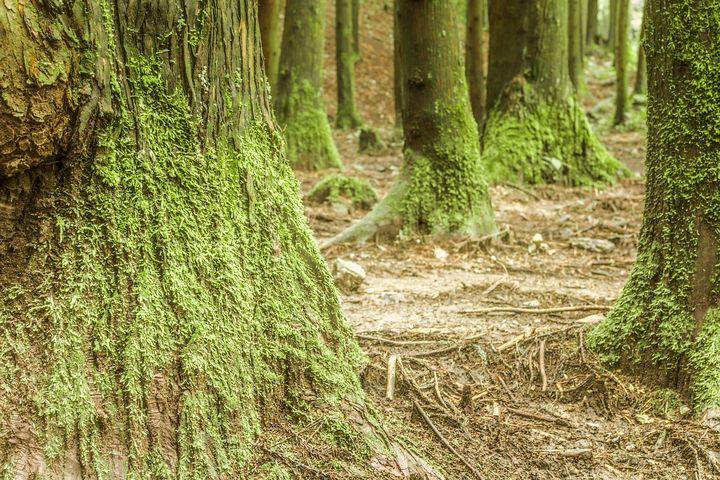 期货经典技巧,顶尖期货高手教你看懂