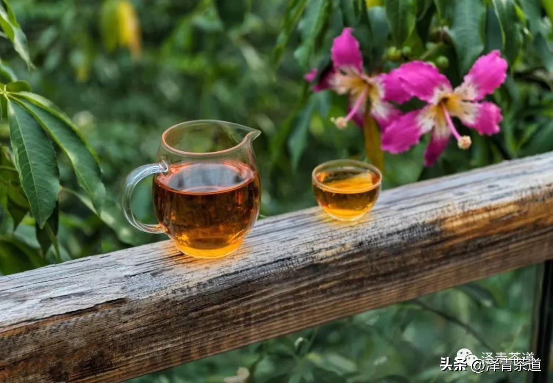 伏天喝什么养生茶最好喝,泡好一杯茶安享三伏天