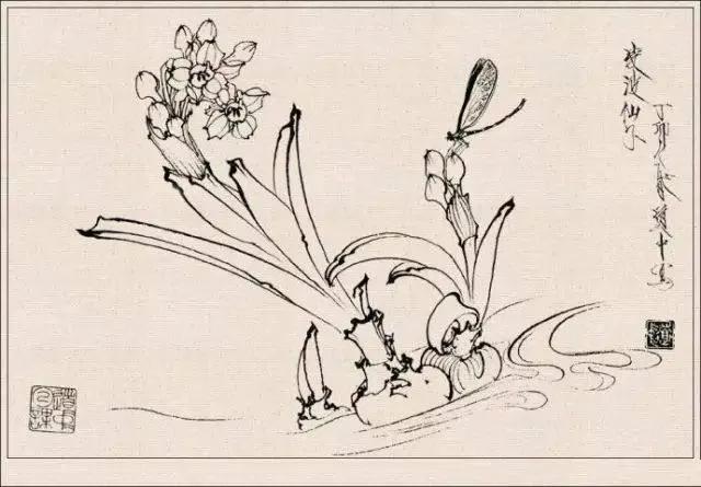 工笔草虫白描王道中,写意花鸟画草虫绘画过程分享