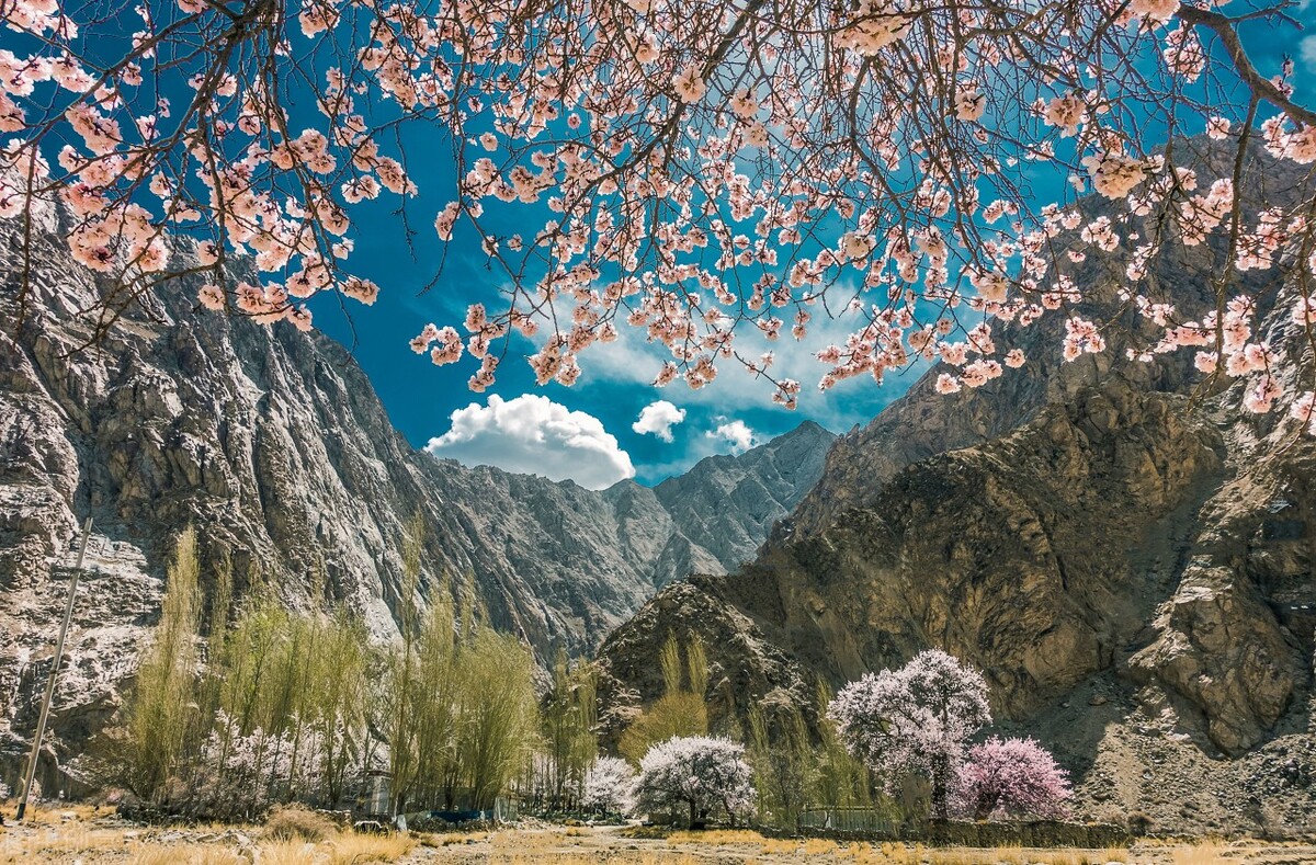 能用钱解决的事儿就别用人情,能用钱解决的事就不是事