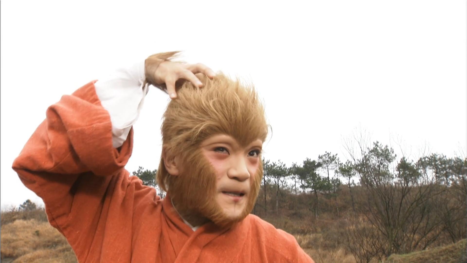 孙悟空拔毫毛是分身术吗,孙悟空为什么不拔根猴毛变成小猴