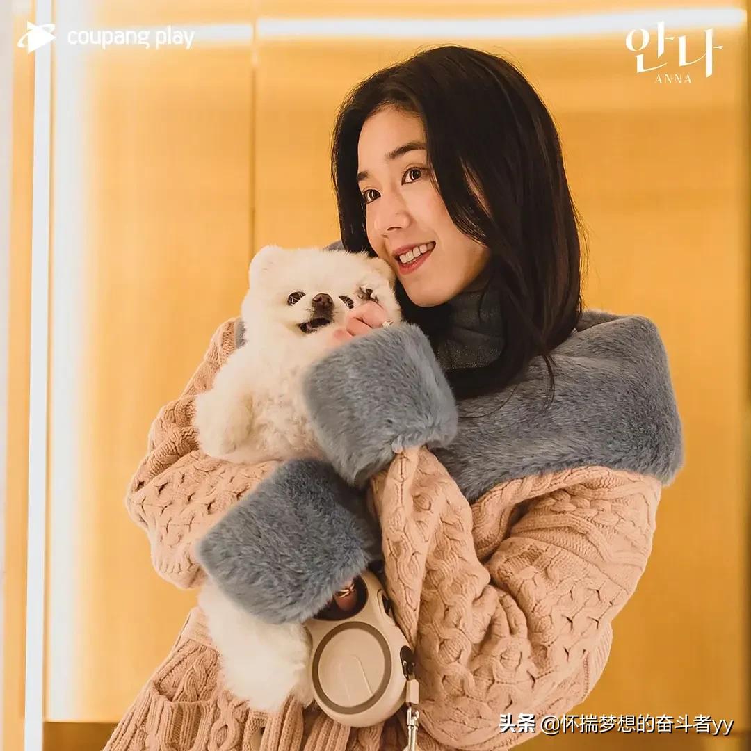 韩剧安娜大结局分析,安娜韩剧大结局解析