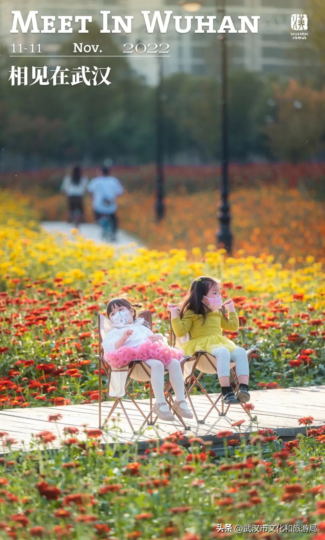 汉口江滩即将迎来百亩花田花海,汉口江滩紫色花海
