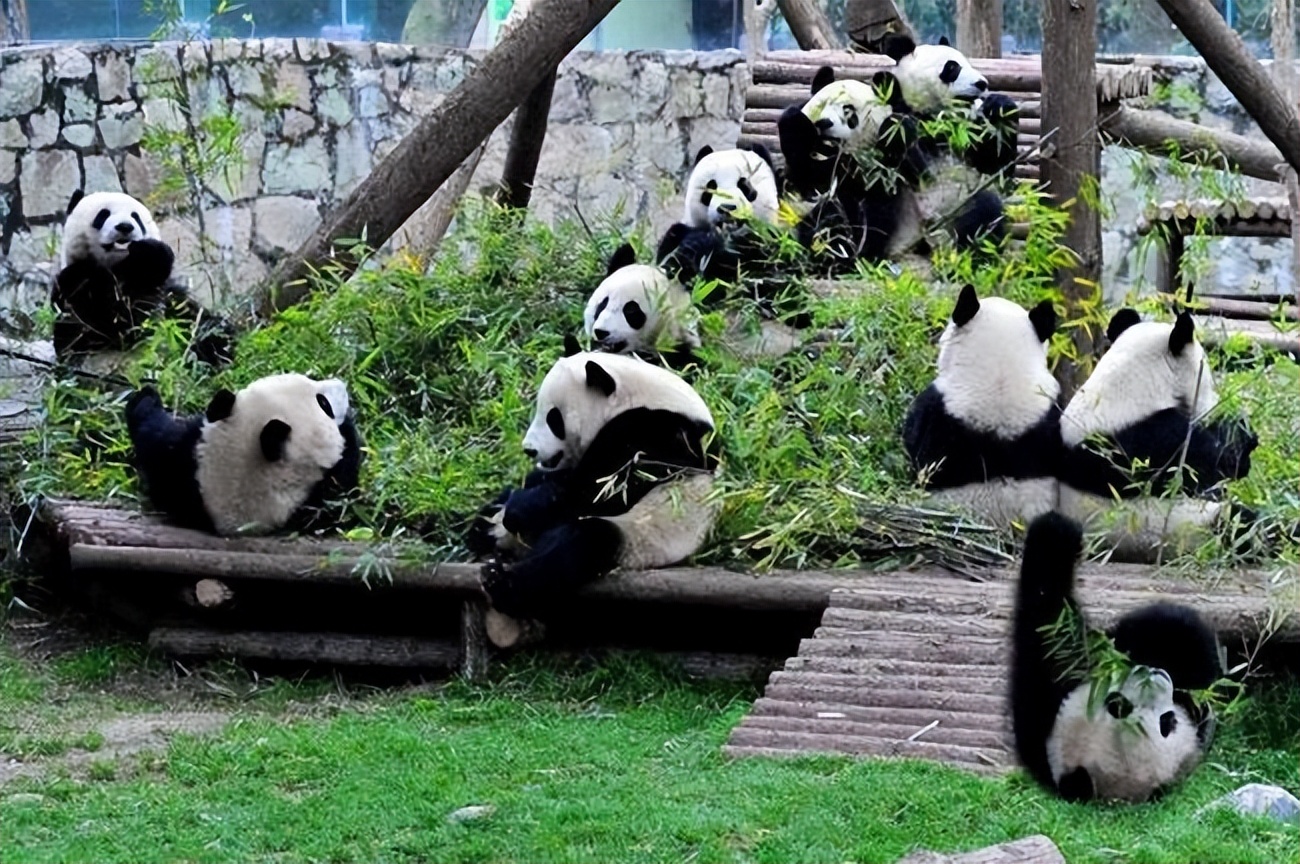 四川旅游团九寨沟6天5晚游价格表,四川九寨沟旅游团价格表