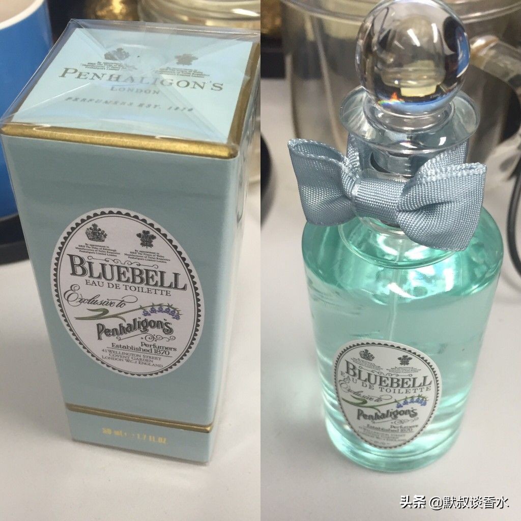 全网最全风信子,风信子蓝色梦幻