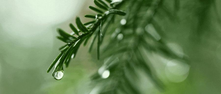 苏宁易购数字化转型失败的原因,苏宁易购2009至2021的转型