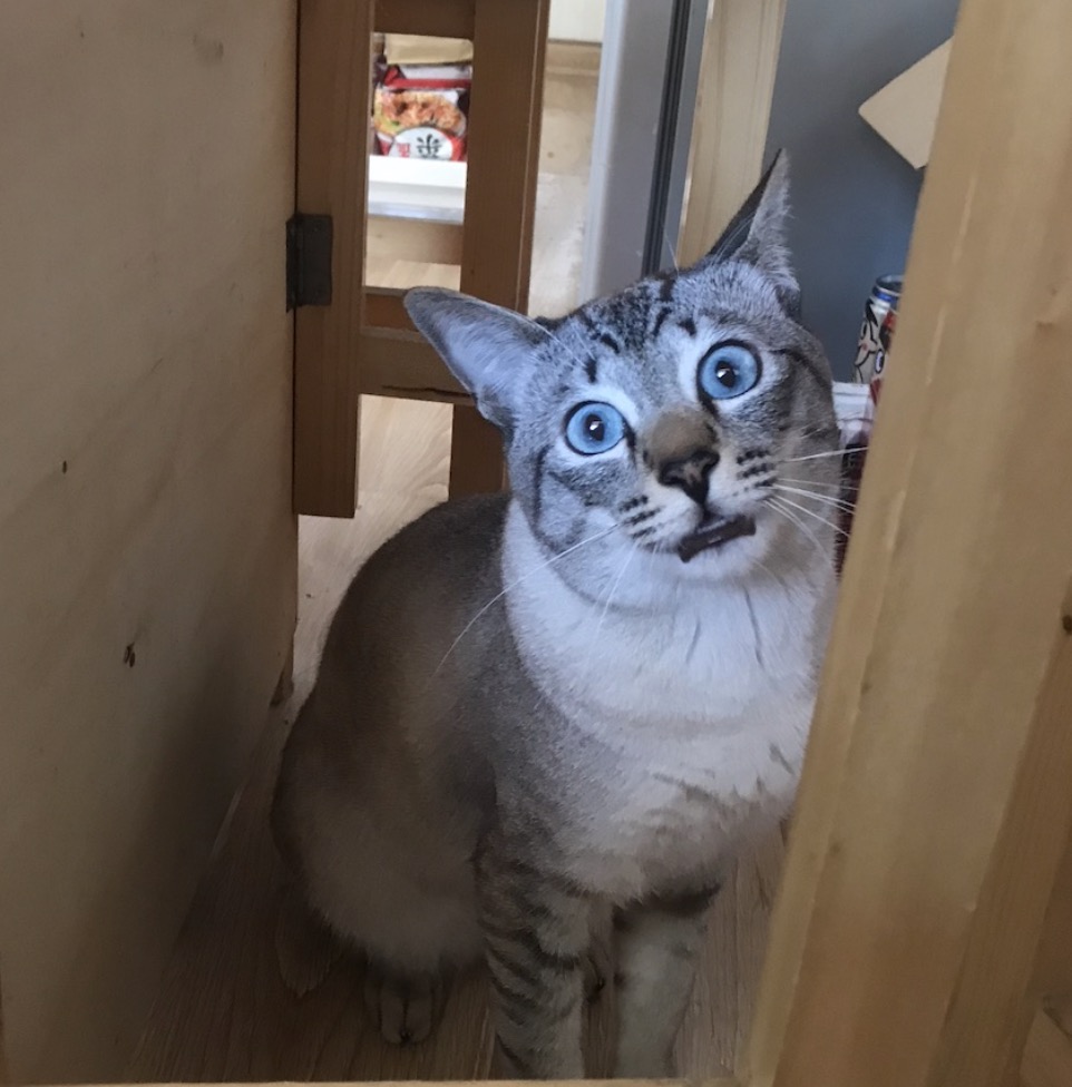 女子做艾灸被烫出两个坑,女子艾灸二级烫伤