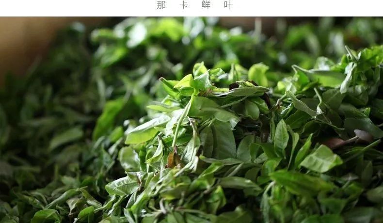 那卡茶是什么味,那卡茶的优缺点