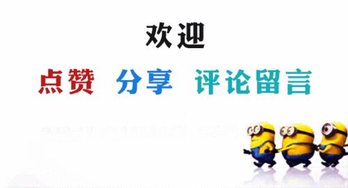 低成本养狗16款平价狗粮推荐,养狗人推荐狗粮