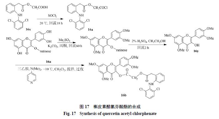 槲皮素的氧化机理,槲皮素的有关药物活性成分