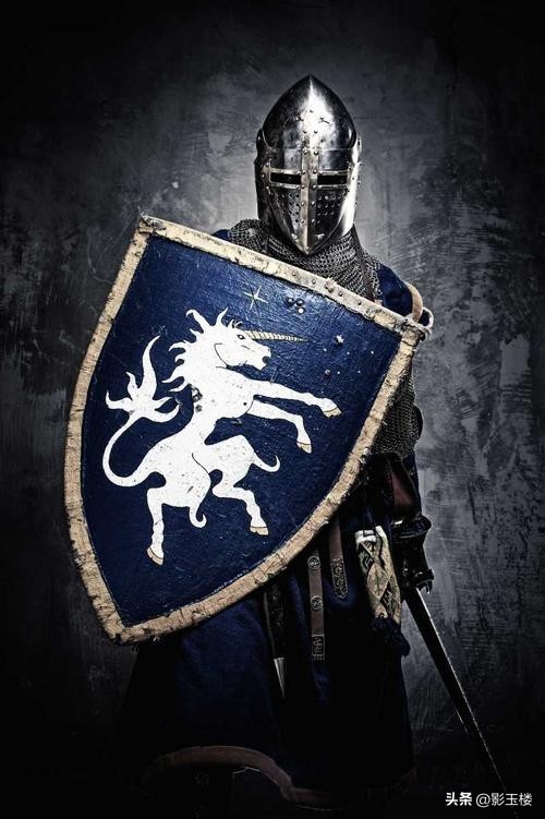 为啥古代欧洲的盾牌是木制的,欧洲古代兵器盾牌