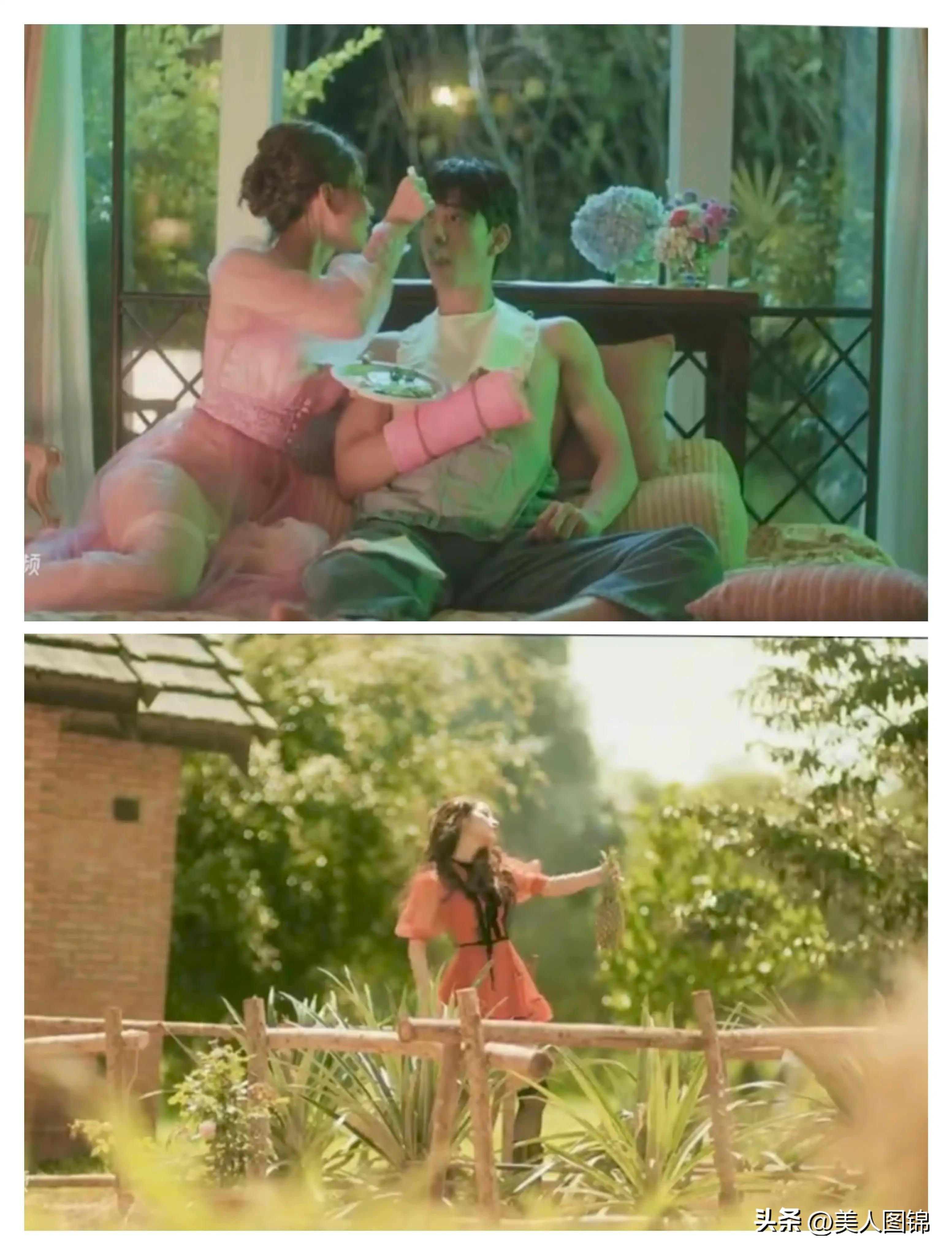 越南芝芙,芝芙越南