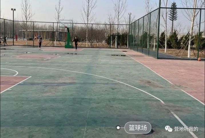 捞小河里的小蝌蚪,上海抓小蝌蚪的公园