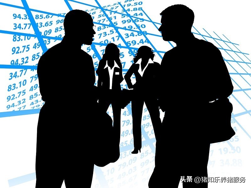 盲目的养殖猪的后果,养殖猪的弊端